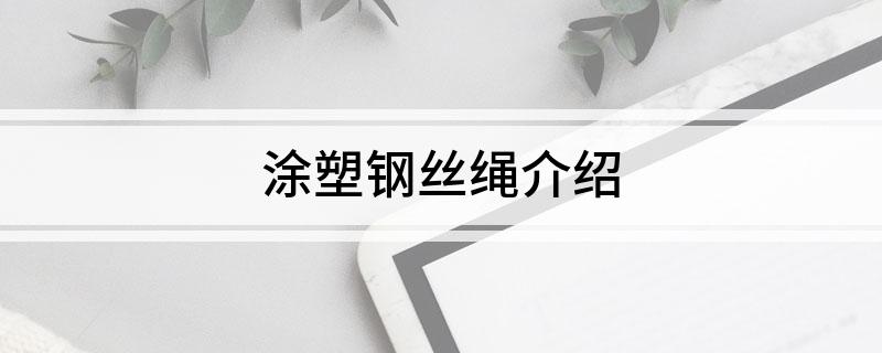 PG平台官方网站涂塑钢丝绳介绍
