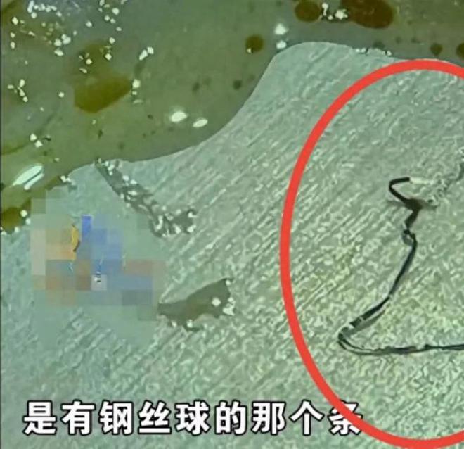 PG电子官方餐厅聚会孩子吃出钢丝条顾客索赔一千被拒。网友：你是真讹啊！